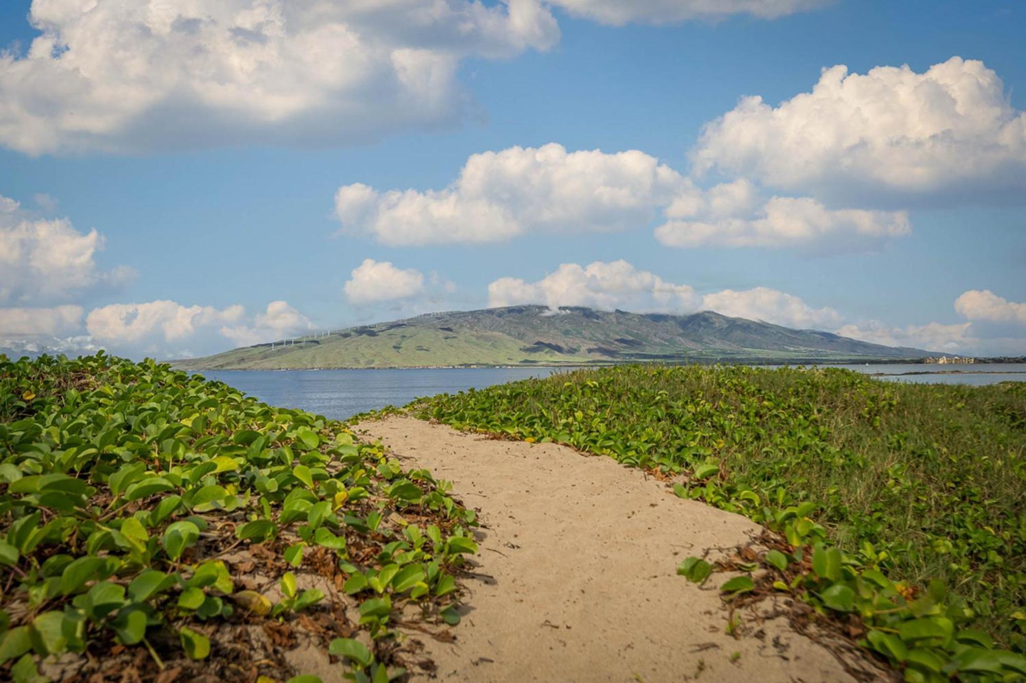 Koa Lagoon 506 Kihei Εξωτερικό φωτογραφία